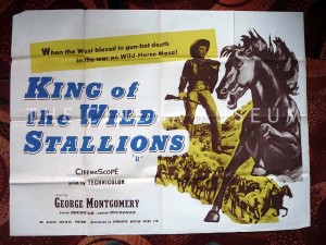 A poster for King Of The Wild Stallions
