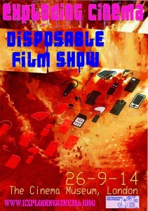 The Disposable Film Festival poster