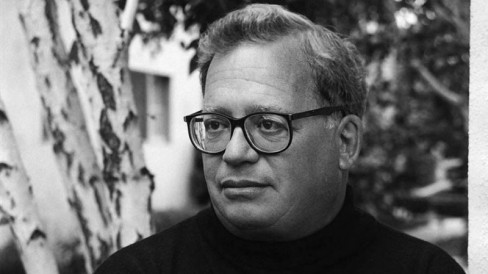 David Shepard