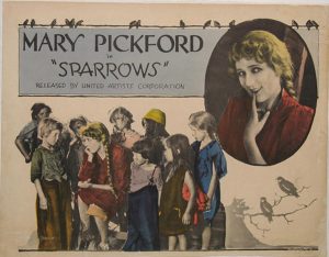 Sparrows