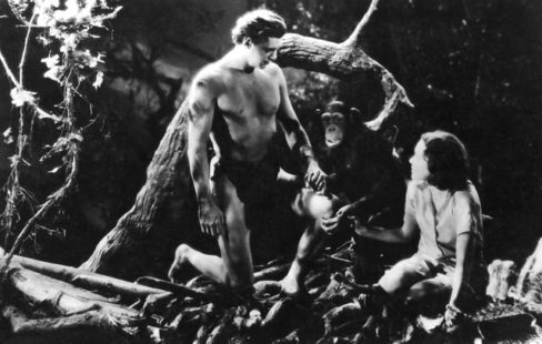 Tarzan and His Mate