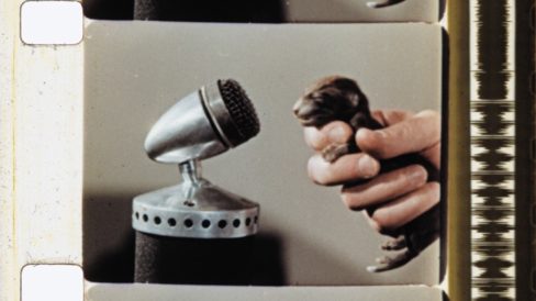 Bestiari, Erbari, Lapidari